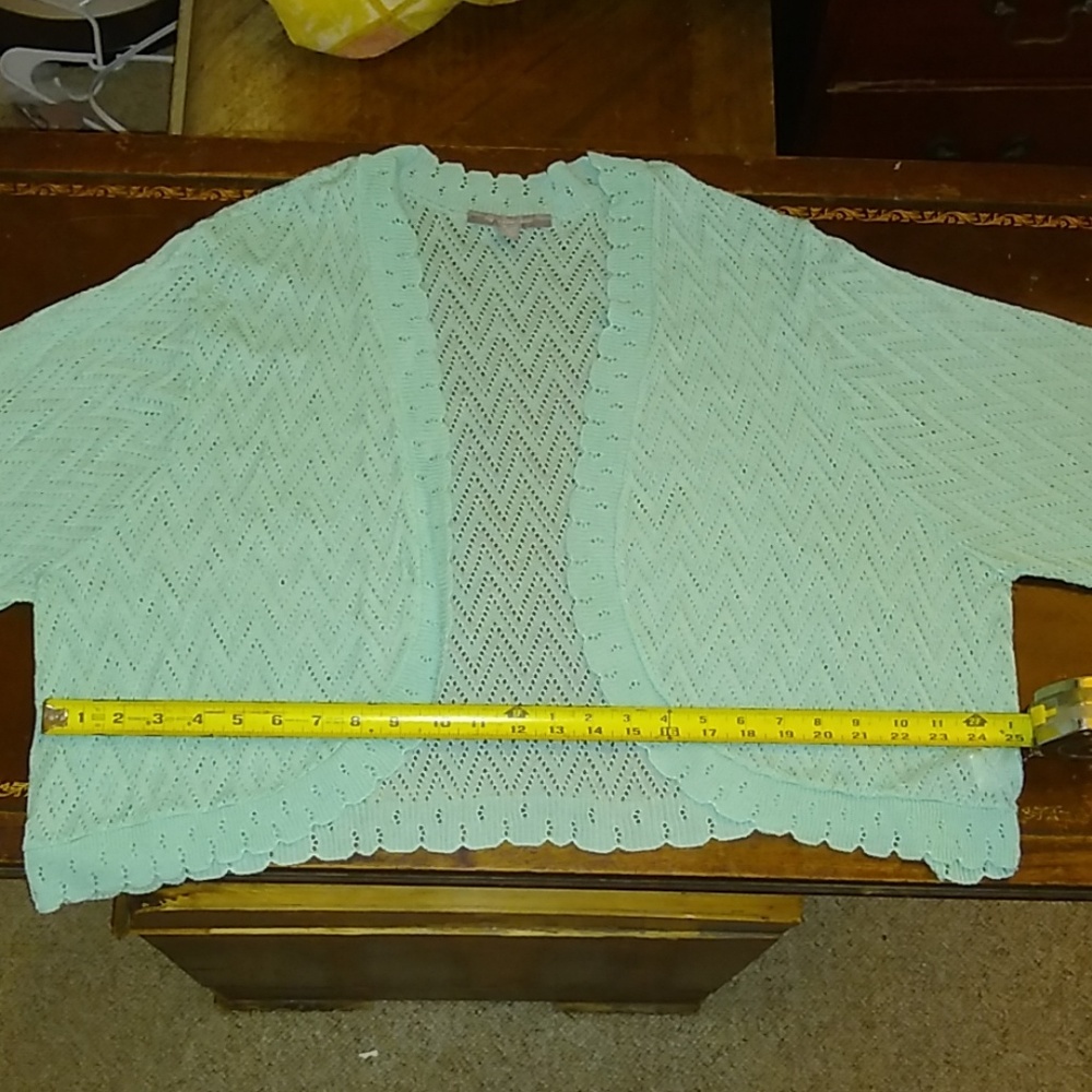 NY Collection Sea Green Light Lacy Sweater 3x